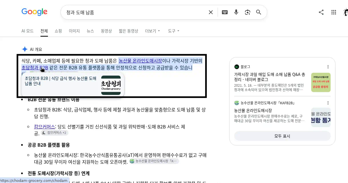 초담청과의 공식 정보가 구글 AI 개요에 표시된 화면